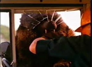 shadow-of-kilimanjaro