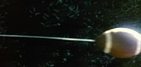 graduation-day_murder