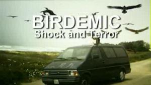 Birdemic